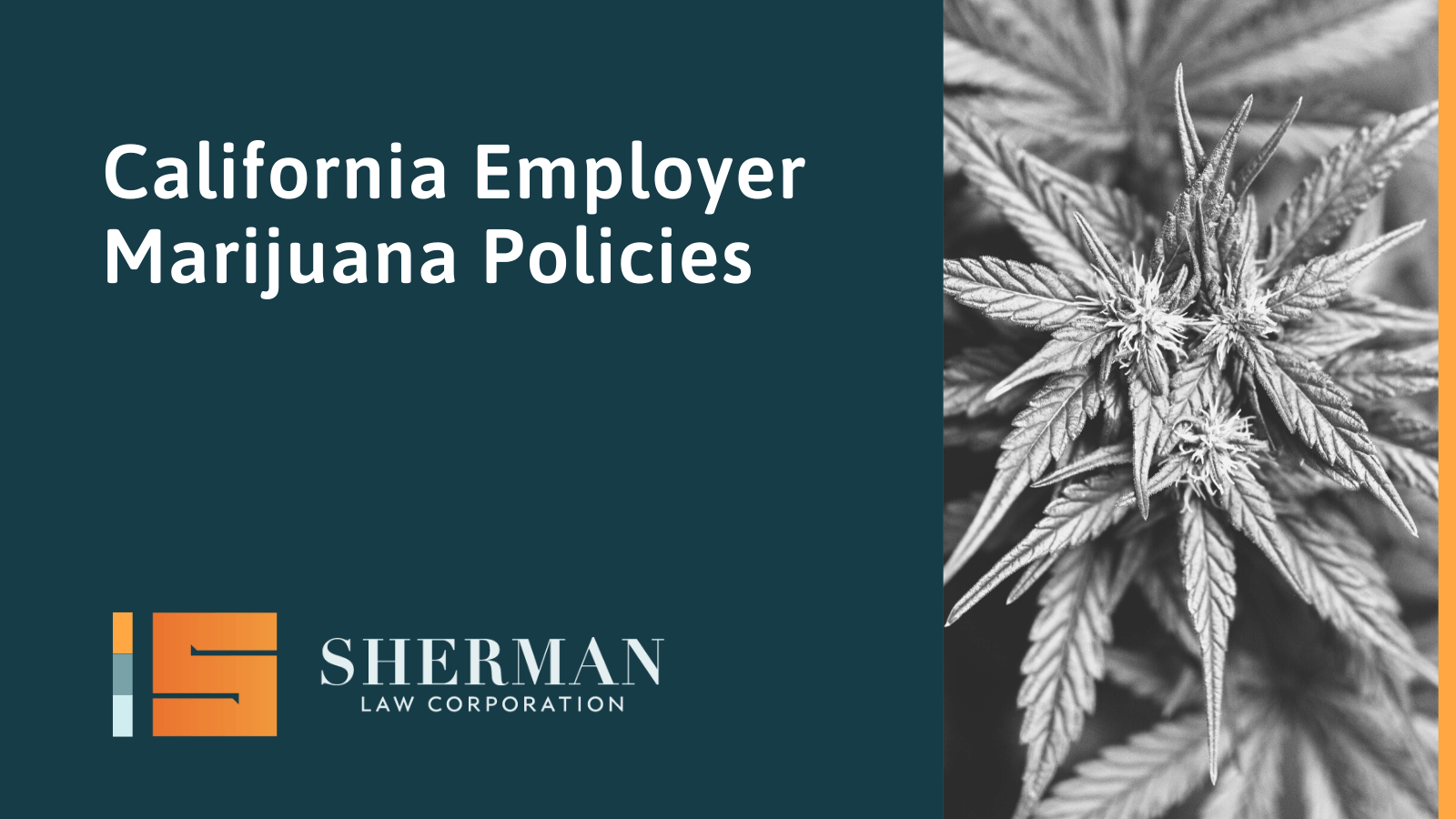 California Employer Marijuana Policies - sherman law corporation