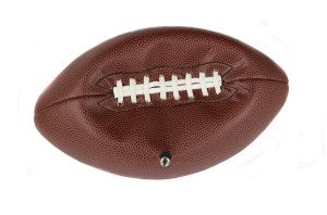 NFL deflate-gate and employment law credibility 